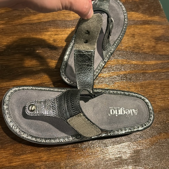 Alegria Carina Womens Silver Sandal CAR-713 EUR 38US 8/8.5 Comfort F…new‎ - Picture 9 of 10